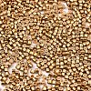 FGB 11/0 Grade A Glass Seed Beads SEED-S030-1219-2