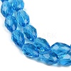 Transparent Glass Beads Strands EGLA-N013-T10mm-D17-3