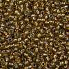 TOHO 11/0 Round Beads X-SEED-TR11-0279-2