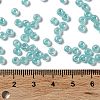 Glass Seed Beads X1-SEED-H002-E-A1419-4