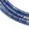 Natural Lapis Lazuli Beads Strands G-F631-B04-3