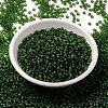 MIYUKI Round Rocailles Beads SEED-X0055-RR0158F-2