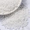 MIYUKI Round Rocailles Beads SEED-G008-RR0420-1