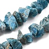 Natural Apatite Beads Strands G-I283-F23-2