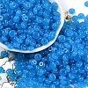 Transparent Colours Glass Seed Beads X1-SEED-P008-01B-08-1