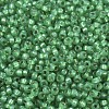 MIYUKI Round Rocailles Beads X-SEED-G007-RR0646-3