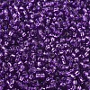 MIYUKI Round Rocailles Beads X-SEED-G007-RR1345-3