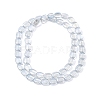 Transparent Electroplate Glass Bead Strands EGLA-P049-02A-PL02-2