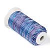 Segment Dyed Round Polyester Sewing Thread OCOR-Z001-A-05-2