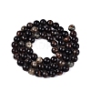 Natural Biotite Beads Strands G-Q616-01B-3
