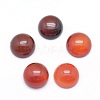 Natural Carnelian Cabochons G-P393-R18-10mm-1