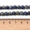 Natural Lapis Lazuli Beads Strands G-A163-07-6mm-5