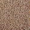 TOHO Round Seed Beads X-SEED-TR11-1067-2