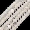 Natural Quartz Crystal Beads Strands G-R186-14-2