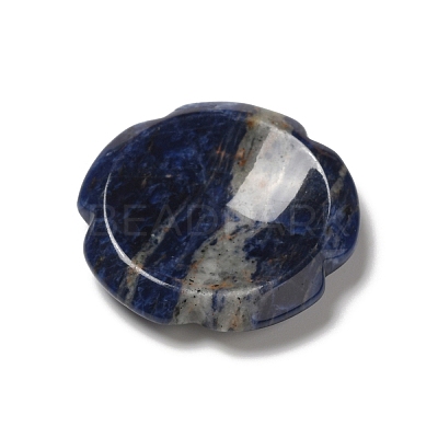 Natural Sodalite Worry Stones G-E586-01O-1