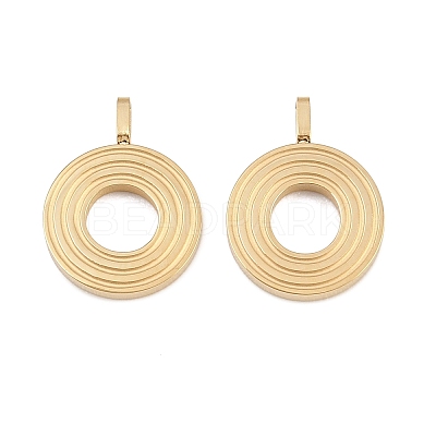 304 Stainless Steel Charms STAS-L022-589O-1