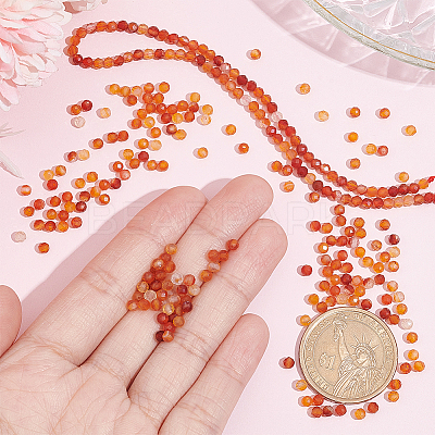 2 Strands Natural Carnelian Beads Strands G-NB0004-20-1