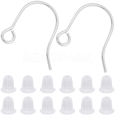 100Pcs 316 Surgical Stainless Steel Earring Hooks STAS-BBC0010-63P-1