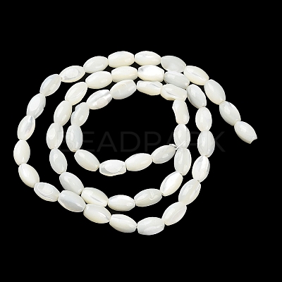 Natural Trochus Shell Beads Strands BSHE-E030-02C-1