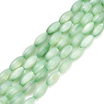 Natural Freshwater Shell Beads Strands SHEL-C010-01-1
