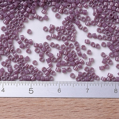MIYUKI Delica Beads X-SEED-J020-DB0265-1