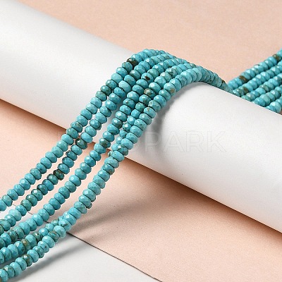 Natural Howlite Beads Strands G-C025-10B-1