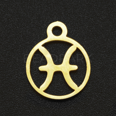 201 Stainless Steel Charms STAS-T014-LA111-12-1