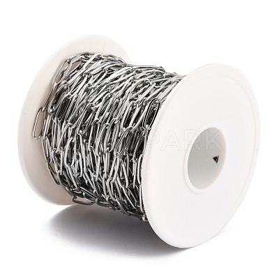 Tarnish Resistant 304 Stainless Steel Paperclip Chains CHS-O010-03P-1