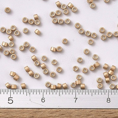 MIYUKI Delica Beads X-SEED-J020-DB1152-1