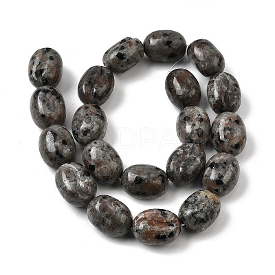 Natural Fluorescent Syenite Rock(Glow under UV Light)  Beads Strands G-K362-D02-03-1