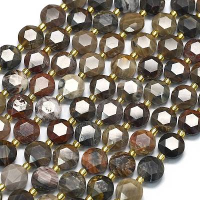 Natural Petrified Wood Beads Strands G-C116-A135-01-1