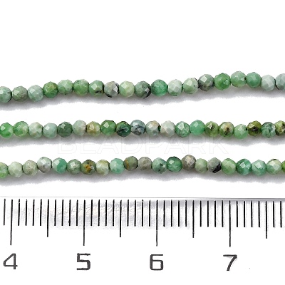 Natural Variscite Beads Strands G-G188-B05-03-1