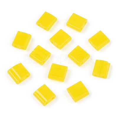 2-Hole Glass Seed Beads SEED-T003-01C-11-1