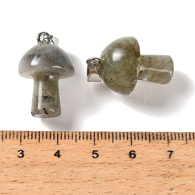 Natural Labradorite Pendants GG-CBAA0EE-05P-04-1