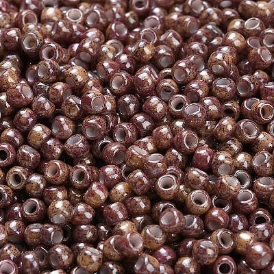 TOHO 6/0 Round Beads SEED-XTR06-1203-1