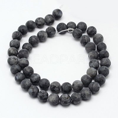 Natural Larvikite Beads Strands G-D692-6mm-1