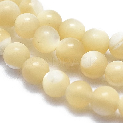 Shell Beads Strands G-A177-04-26-1