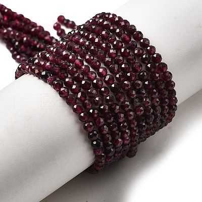 Natural Garnet Beads Strands G-I341-09B-01-1