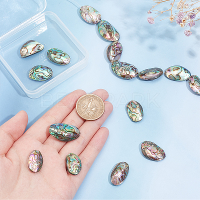 1 Strand Natural Abalone Shell/Paua Shell Beads Strands BSHE-BC0001-16-1