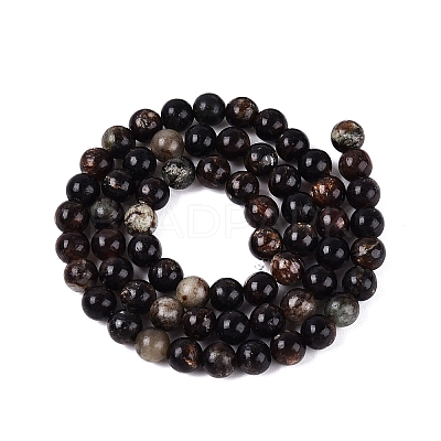 Natural Biotite Beads Strands G-Q616-01B-1