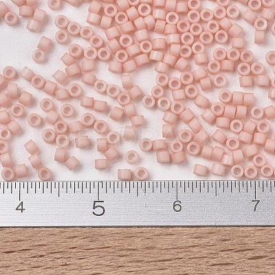 MIYUKI Delica Beads SEED-J020-DB1513-1