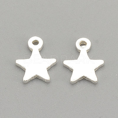 925 Sterling Silver Charms STER-S002-30-1