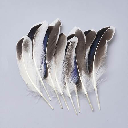 Feather Costume Accessories X-FIND-Q046-15F-1