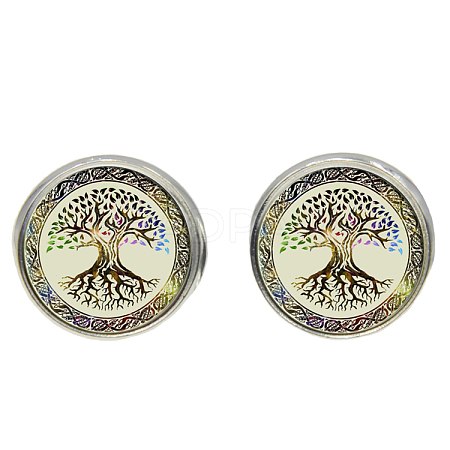 Picture Glass Stud Earrings EJEW-O088-76-1