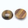 Natural Tiger Eye Cabochons G-E492-F-01-2