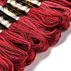 10 Skeins 6-Ply Polyester Embroidery Floss OCOR-K006-A44-2