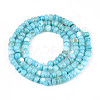 Natural Freshwater Shell Dyed Beads Strands SHEL-T020-29A-02-2