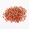 Back Plated Grade A Diamond Glass Pointed Rhinestone RGLA-SS6-019-2