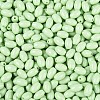 Baking Paint Glass Seed Beads SEED-T007-15J-2