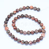 Natural Leopard Skin Jasper Beads Strands G-J358-05-6mm-3